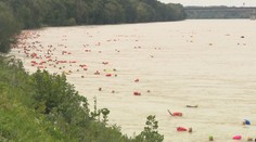 Neodradila ich ani vysoká hladina rieky. V Bratislave cez Dunaj plávalo takmer 2-tisíc ľudí