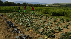 Európska únia začala skúmať podozrenie zo zneužívania dotácií na Slovensku