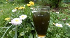 Zelený koktejl - súťaž/jarný detox