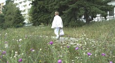 Zvuk kosačiek sa z miest vytráca. Kosí sa inak a menej, dôvodov je viacero