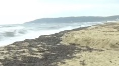 Nafta, ktorá unikla pri zrážke lodí na Korzike, zasiahla aj svetoznámu pláž