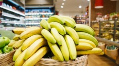 Aj na zelených banánoch by sme si vraj mali pre zdravie pochutnať. Tu je dôvod