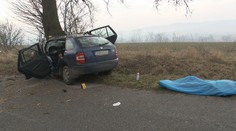 Nešťastný posledný február! Muž (†45) z neznámych príčin narazil do stromu