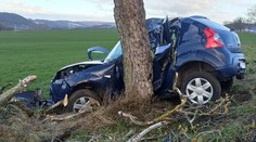 Tragický záver mesiaca pri Piešťanoch. Náraz do stromu neprežil 66-ročný muž