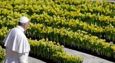 Pápež František vyhlásil celoeurópsku zbierku v kostoloch. Kam pôjdu peniaze?