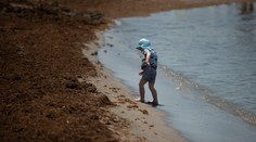 FOTO: Na španielske pláže sa vyplavili záhadné zapáchajúce riasy. Ich pôvod je v Ázii