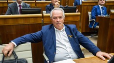 Prezident vymenuje Radačovského a Kmeca za veľvyslancov budúci týždeň. S prvým sa chce ešte rozprávať
