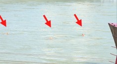 Hazardovali so svojím životom! Išli si zaplávať do Dunaja