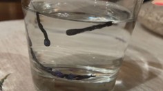 Tajomné rituály z východného Slovenska: Ako ochrániť deti pred urieknutím?