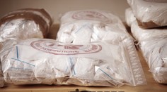 Medzi banánmi našli tri a pol tony kokaínu. Colníkom v Rotterdame sa podaril skvostný úlovok