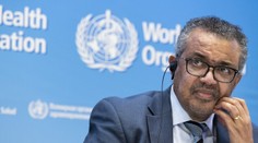 Pandemická situácia sa zlepšuje na štyroch kontinentoch, uviedla WHO v najnovšej správe