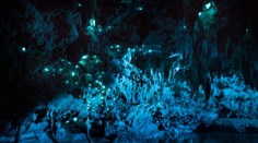 Prekrásny úkaz v jaskyni. Aj toto dokážu známe zvieratká