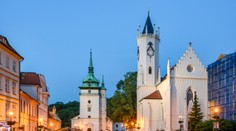 Horor v byte. Polícia objavila v mrazničke vyše sto tiel mačiat