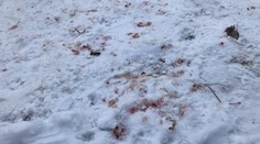 Brutálny útok zo žiarlivosti. V obci Cígeľ napadol muž soka v láske, takmer ho dobil na smrť