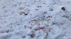 Brutálny útok zo žiarlivosti. V obci Cígeľ napadol muž soka v láske, takmer ho dobil na smrť