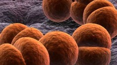 Meningitída zabila ďalšie dieťa. Ako spoznáte príznaky choroby a kde sa môžete nakaziť?