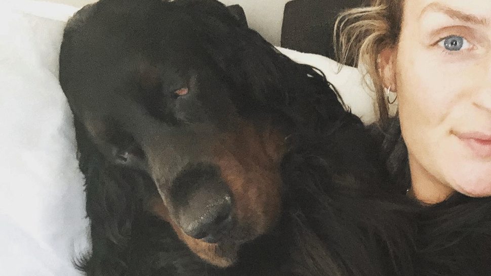 Psovi diagnostikovali rakovinu nosa. Lekári mu nasadili liečbu určenú ľuďom