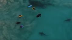 Štyristo žralokov pokope. Tieto deti netušili, čo sa pod nimi deje