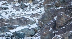 Nájdete na tejto fotografii leoparda snežného?