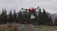 Japonsko prišlo s novinkou v boji proti medveďom. Používa špeciálne upravené drony