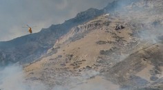 Chcel zapáliť pavúka, no spôsobil lesný požiar. Polícia 26-ročného mladíka okamžite zatkla