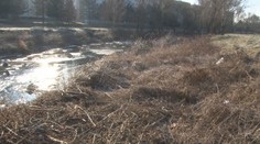 Stromy vo Svidníku vyrúbali, neporiadok nechali. Ľudia hovoria aj o nebezpečenstve