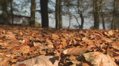 Slovensko sa teší slnečnej jeseni bez zrážok. Odborník však vysvetľuje, aké následky to môže mať