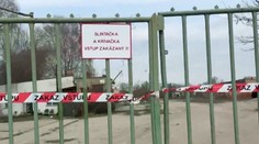 Predsa len potvrdili ďalšiu lokalitu. Slintačku a krívačku odhalili vo štvrtej obci na južnom Slovensku