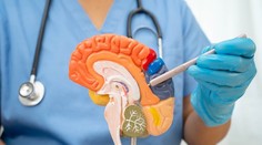 Jeden drobný zlozvyk môže mať vážne následky. Vedci varujú pred rizikom demencie