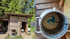 Mimoriadna situácia na Liptove: Salmonela v bryndzi, ľudia skončili v nemocnici. Otrasné FOTO zo „salaša“