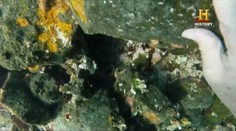 Objavili sa pochybnosti o Kolumbovej stratenej Santa Marií