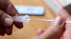 Kedy si urobiť domáci test na COVID-19, aby vám vyšiel čo najpresnejší výsledok? Tu je odpoveď