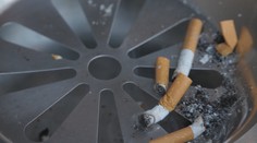 S pľúcnou lekárkou sme sa pozreli na najčastejšie mýty o fajčení. Čo hovorí na žuvací tabak?