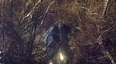 Pri Hlohovci skončilo po nehode auto na strome