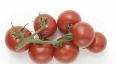 Marocké paradajky, ktoré vystrašili Slovensko: Sú úplne neškodné!