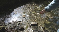 Obyvateľov obcí pri rieke Morava už teraz „žerú“ komáre a to najhoršie má ešte len prísť