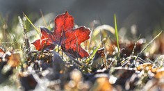 Už je to potvrdené: Čakajú nás mimoriadne teplé Vianoce