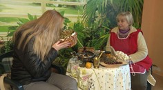 Bylinkárka z Vrbového je posledná nádej pre ženy, ktoré chcú otehotnieť