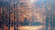 Poradíme vám, ako zvládnuť jesennú depresiu