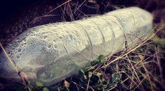 Dve deti (†11, †13) zomreli v obci pri Rimavskej Sobote. Vypili neznámu látku