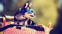 V týchto oblastiach Slovenska očakávajte zlepšenie počasia