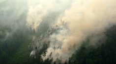 Globálna katastrofa zažehnaná. V Rusku sa podarilo uhasiť všetky lesné požiare