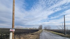 Za deň 400, doposiaľ 7-tisíc. Farmu na juhu Slovenska likviduje vtáčia chrípka