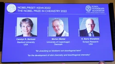 Nobelovu cenu za chémiu udelili za výskum spájania molekúl. Využíva sa v medicíne aj pri výrobe materiálov