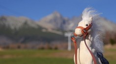 Martin bieleho koňa nepriniesol. Dočkáme sa tento mesiac snehu?