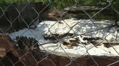 Sencom sa šíri neznesiteľný smrad. Farmár spravil z mesta chliev