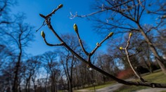 V pondelok sa začína jar. Až do mája bude každý nasledujúci deň o vyše tri minúty dlhší