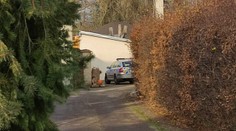 Na chovateľku koní na východe Česka zaútočil tiger. Odhryzol jej časť ruky