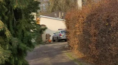 Na chovateľku koní na východe Česka zaútočil tiger. Odhryzol jej časť ruky