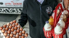 Vo Veľkej Británii zatkli mliekara, podozrivo skoro rozvážal mlieko